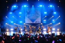 TEAM SHACHIによるライブの様子。（撮影：下山春香）