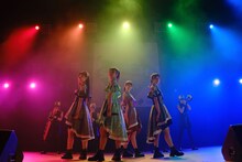 TEAM SHACHIによるライブの様子。（撮影：下山春香）