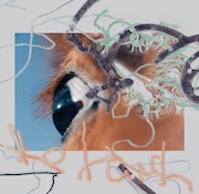 the hatch「shape of raw to come」ジャケット