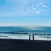 加山雄三「海が男にしてくれた」配信ジャケット