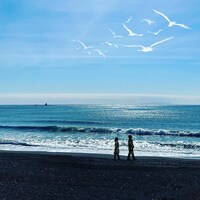 加山雄三「海が男にしてくれた」配信ジャケット