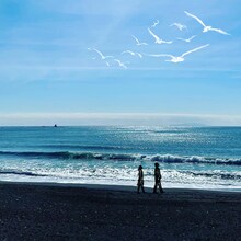 加山雄三「海が男にしてくれた」配信ジャケット