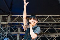 ミユキエンジェル（豆柴の大群）