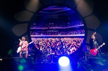 「ヤバイTシャツ屋さん “ぶどうかん” ツアー 2022」日本武道館公演より。（撮影：田中聖太郎）