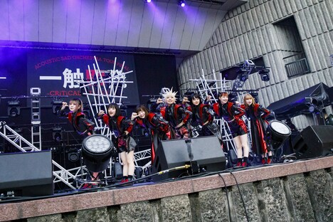 ASP（Photo by sotobayashi kenta）