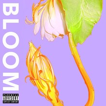 SANABAGUN.「BLOOM」ジャケット