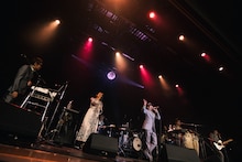 クレイジーケンバンド（撮影：廣田達也）