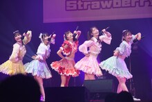 Luce Twinkle Wink☆