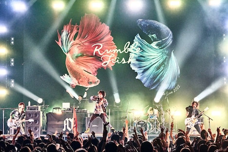 ASH DA HERO（撮影：堅田ひとみ）