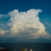 くるり「八月は僕の名前」配信ジャケット