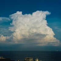 くるり「八月は僕の名前」配信ジャケット