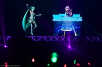 左から初音ミク、巡音ルカ。