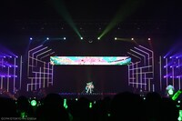 「初音ミク『マジカルミライ』10th Anniversary」の様子。の模様。