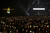 「初音ミク『マジカルミライ』10th Anniversary」の様子。の模様。