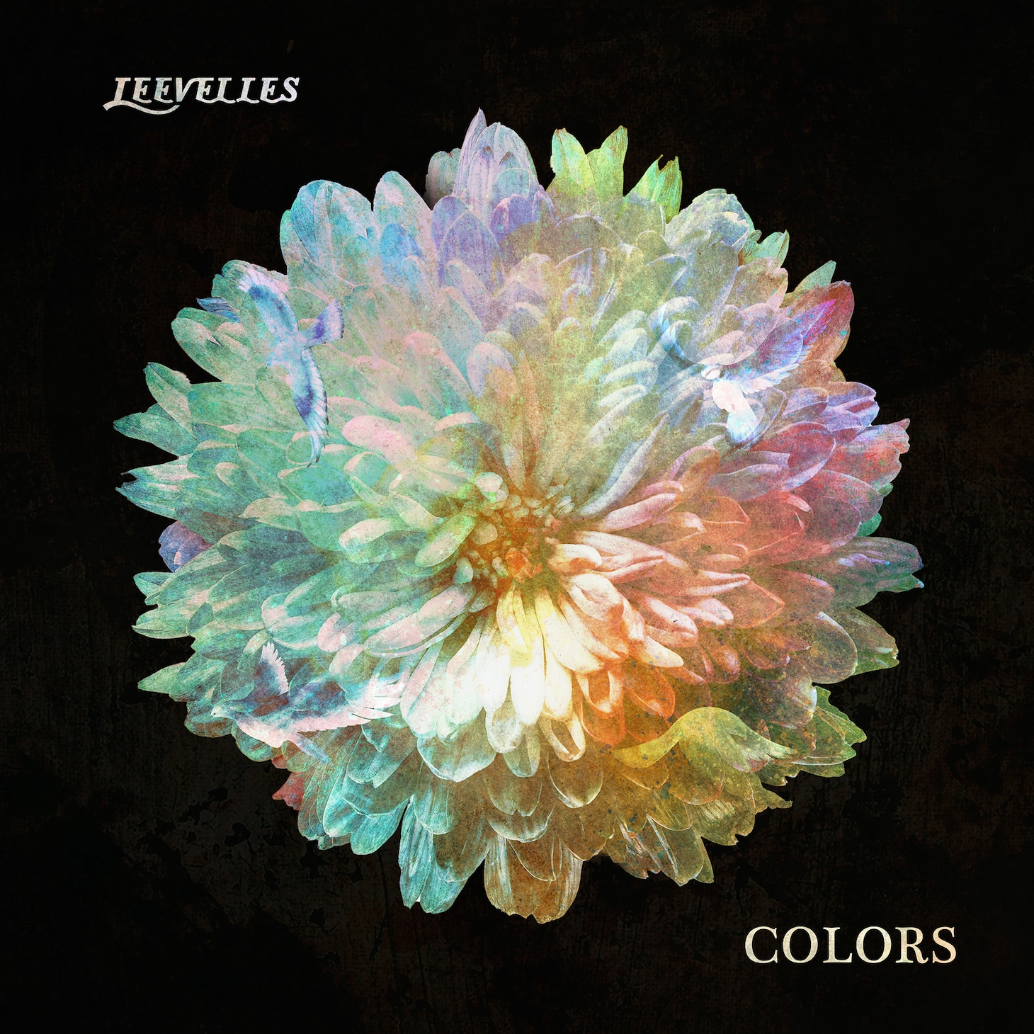 LEEVELLES「COLORS」ジャケット