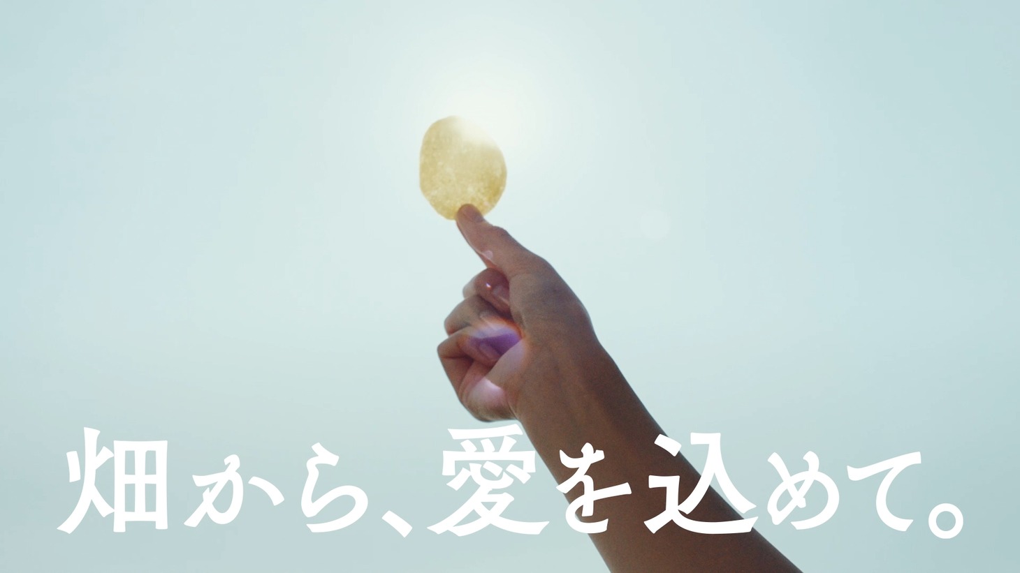 「ポテトチップス うすしお味『畑から、愛をこめて。』」編
