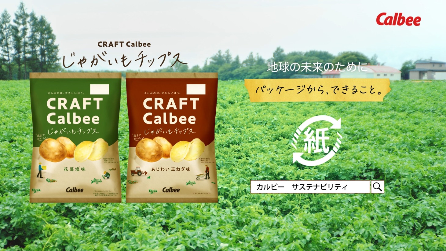 「じゃがいもチップス『素材のおいしさ』」編より。