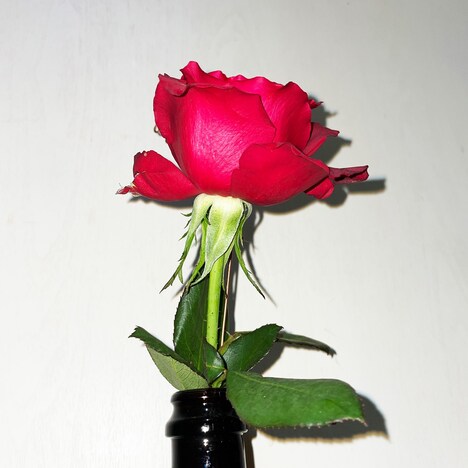 sassya-「Not the End」ジャケット