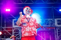 イガグリ千葉（Vo / 仙台貨物）（撮影：上山陽介）