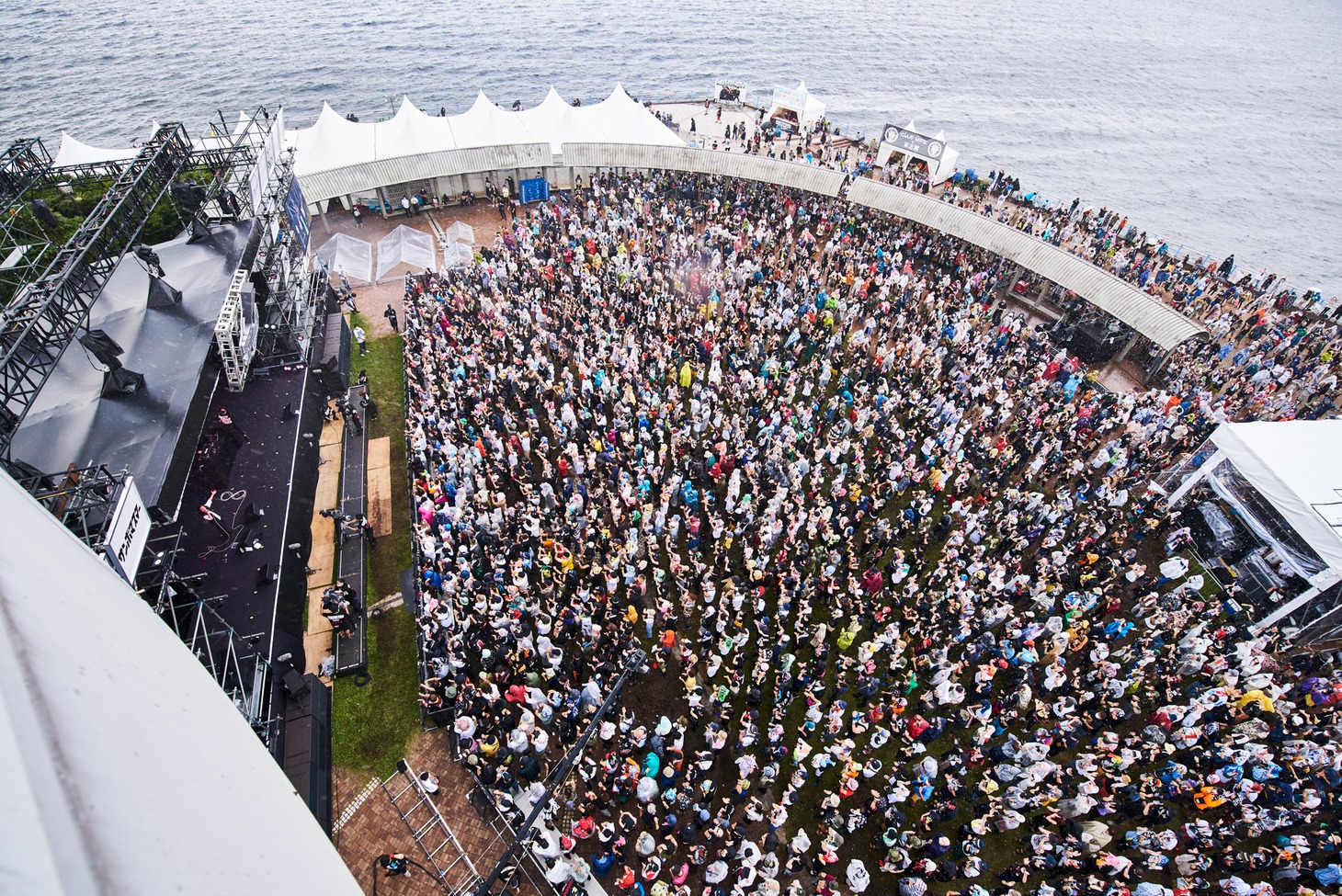 Creepy Nutsのライブの様子。（撮影：釘野孝宏）