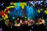 BUDDiiS（撮影：笹森健一）