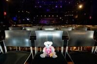 ナナちゃん（Photo by Masayo）