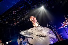 大森靖子（Photo by Masayo）