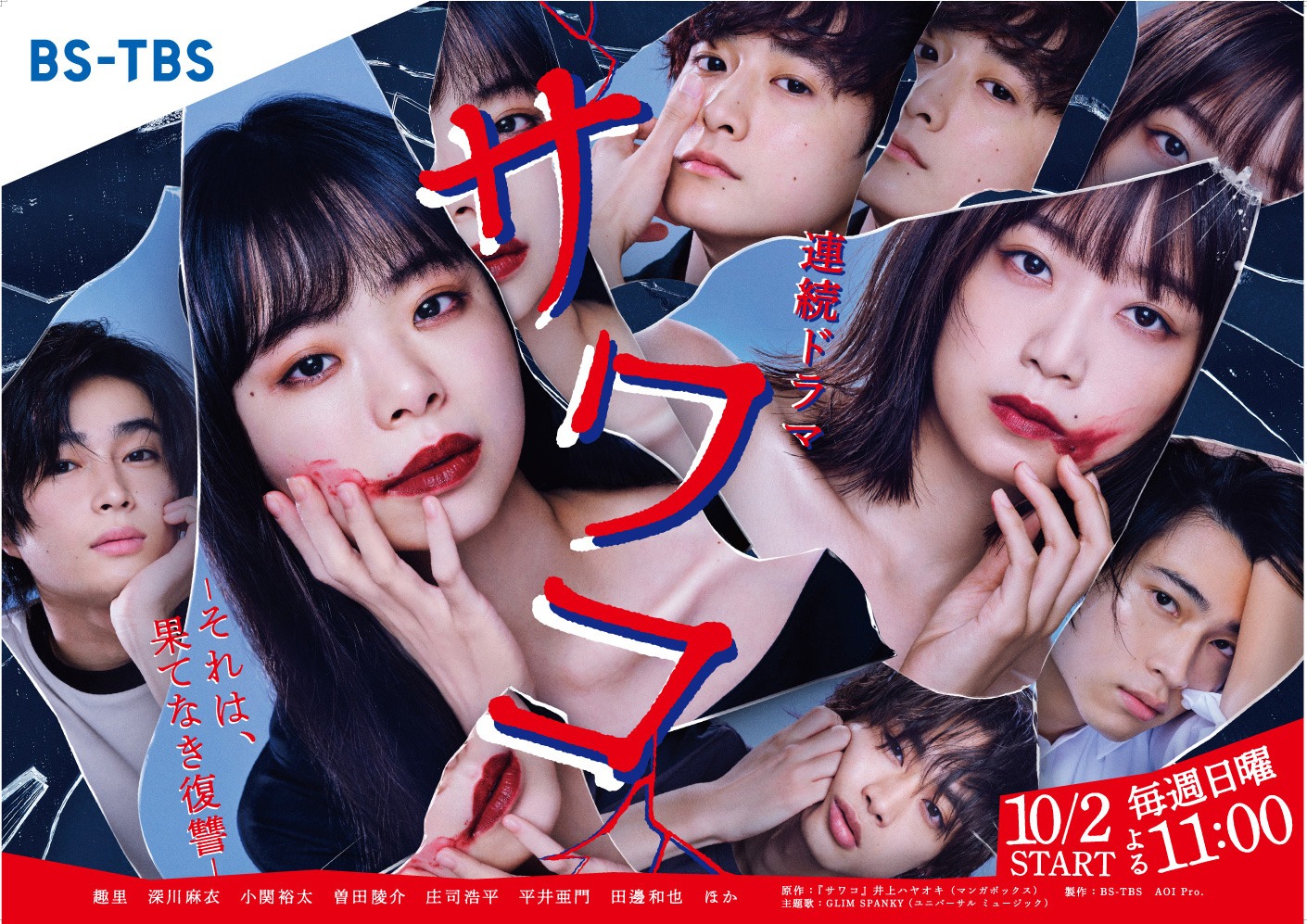 BS-TBS「サワコ ～それは、果てなき復讐」ビジュアル