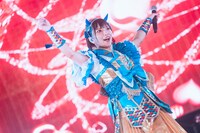 藍井すず（撮影：真島洸）