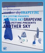 GRAPEVINE「grapevine in a lifetime presents another sky」Blu-rayジャケット