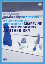 GRAPEVINE「grapevine in a lifetime presents another sky」DVDジャケット