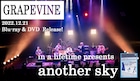GRAPEVINE「another sky」再現ツアーが映像化、12曲収録のライブCD付き