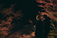 宮島弥山 大本山 大聖院