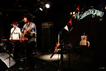 カミナリグモ（撮影：山中善正）