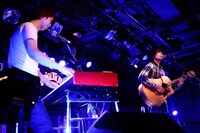 カミナリグモ（撮影：山中善正）