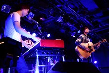 カミナリグモ（撮影：山中善正）