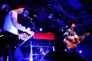 カミナリグモ(撮影:山中善正)