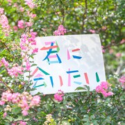 明日が見えない今、井乃頭蓄音団は「君に会いたい」と歌う