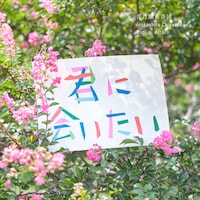 井乃頭蓄音団「君に会いたい」配信ジャケット