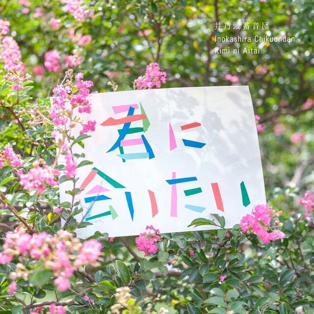 井乃頭蓄音団「君に会いたい」配信ジャケット