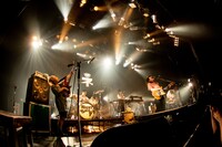 ネクライトーキー（撮影：キムラユキ）