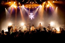 ネクライトーキー（撮影：キムラユキ）