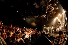 ネクライトーキーのライブの様子。（撮影：キムラユキ）