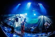 フジファブリック（撮影：森好弘）