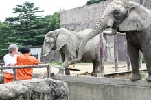 ゾウにケーキをプレゼントするシューヤとハル。