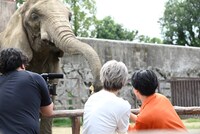 ゾウにケーキをプレゼントするシューヤとハル。