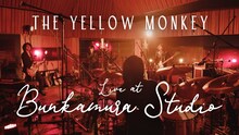 U-NEXT「THE YELLOW MONKEY Live at Bunkamura Studio」告知ビジュアル