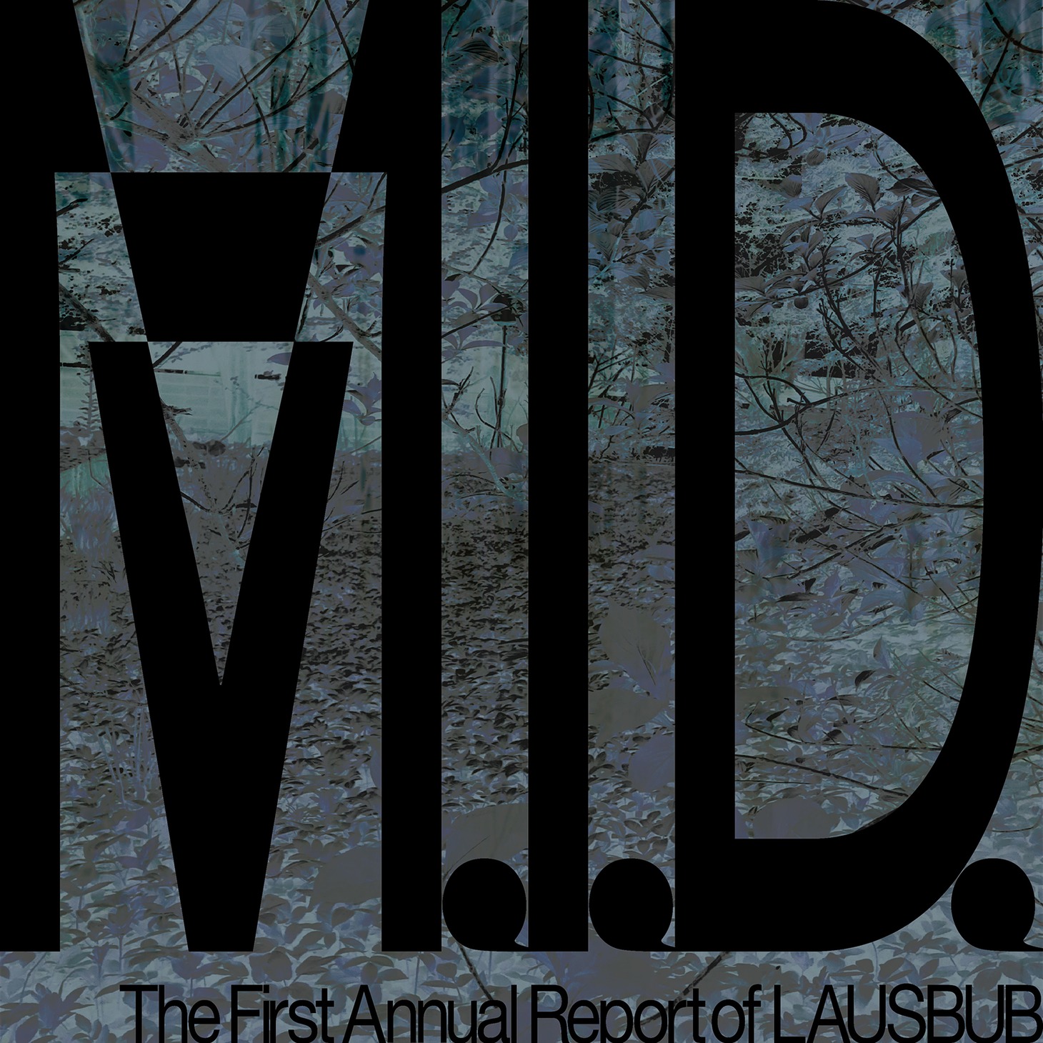 LAUSBUB「LAUSBUB 1st EP Release Tour『M.I.D.』」ジャケット