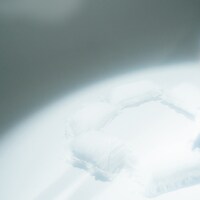 ねおち「地球が終わっても」配信ジャケット