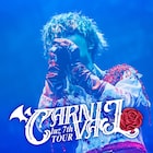 luz、最新ライブ「CARNIVAL」の音源をサブスク配信